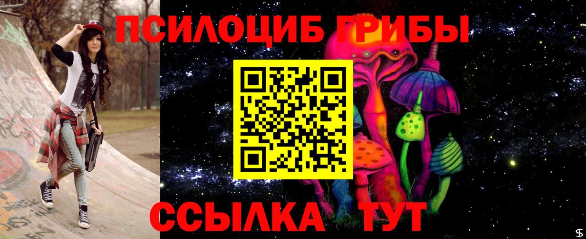 Псилоцибиновые грибы мицелий  Вход с VPN  Белово 