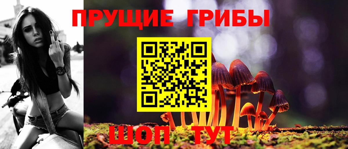 Псилоцибиновые грибы Psilocybine cubensis Белово