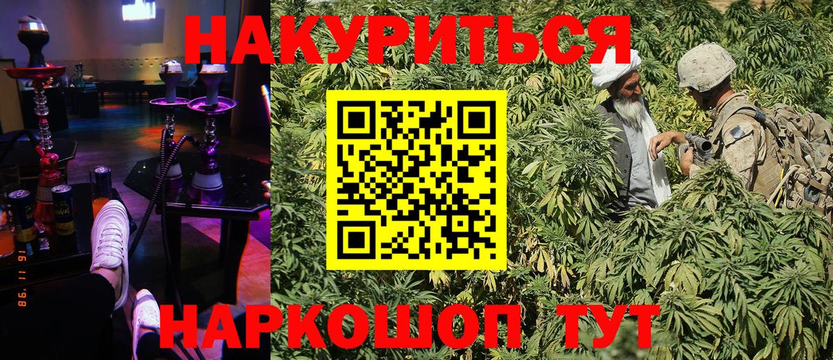 Каннабис OG Kush Белово
